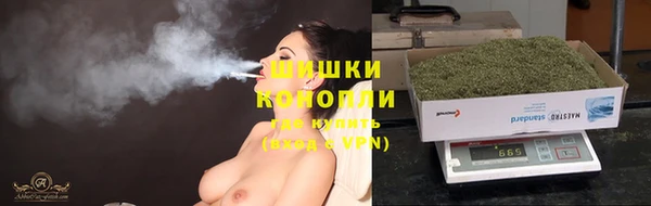 ешки Алзамай