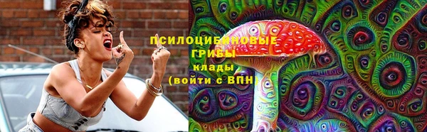 соль курить ск Алексеевка