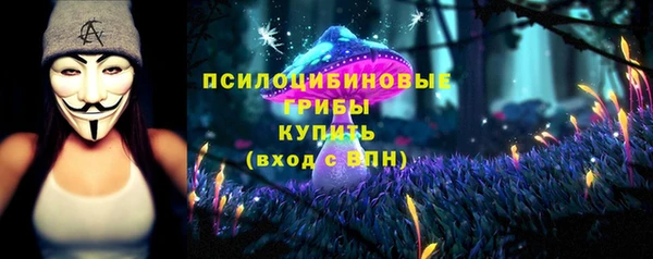 гидра Алексин